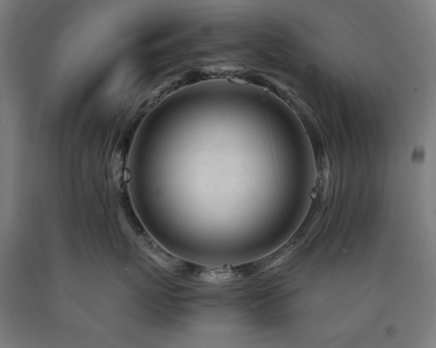 X0000090900767200707301413