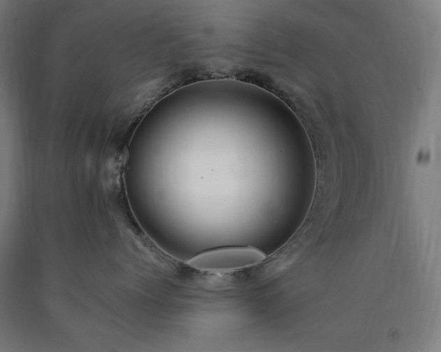 X0000090900768200707301413