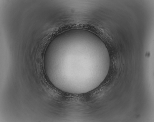 X0000090900769200707301412