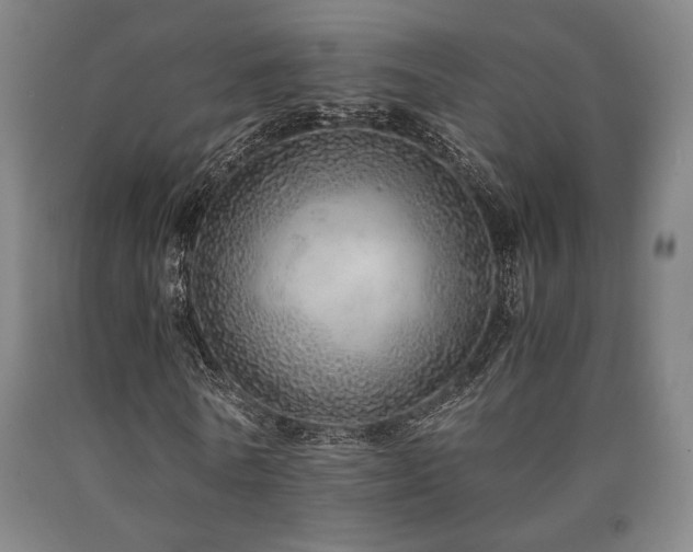 X0000090900770200707301412