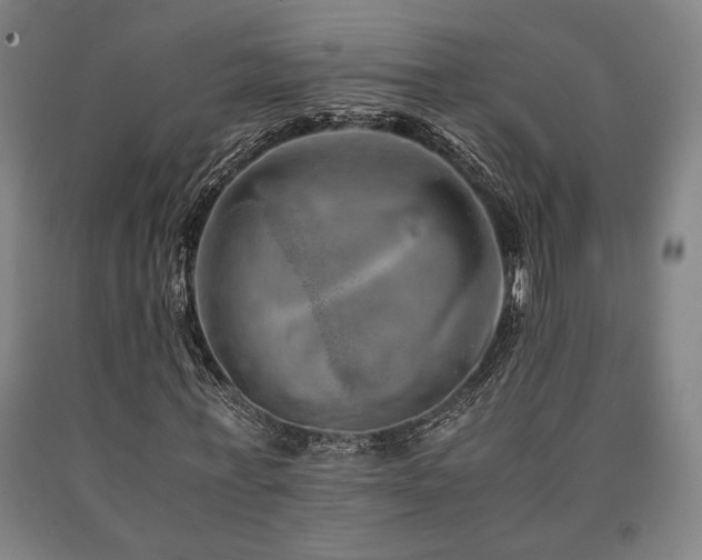 X0000090900771200707301412