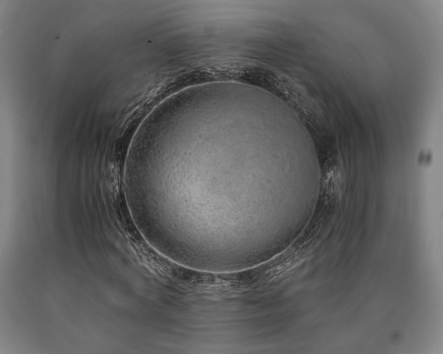 X0000090900772200707301412