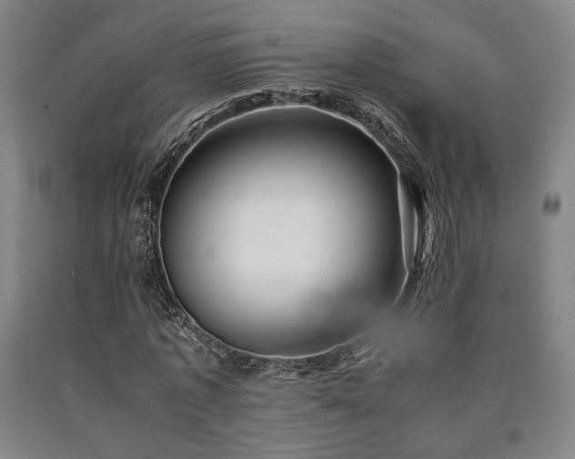 X0000090900773200707301412