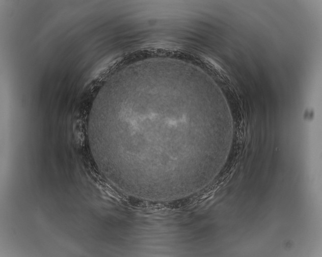 X0000090900774200707301412