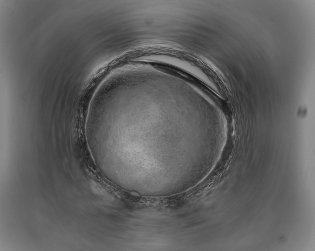 X0000090900775200707301412