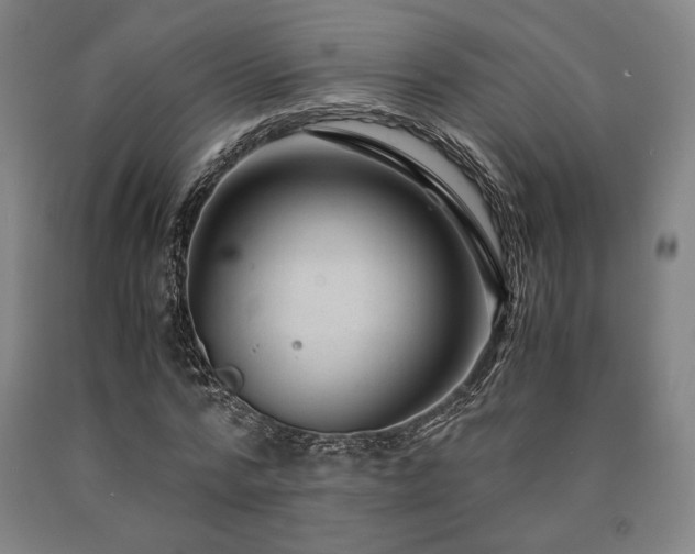 X0000090900776200707301412