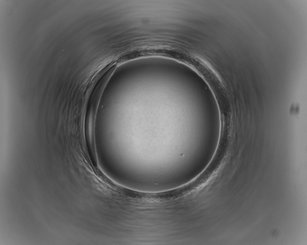 X0000090900777200707301412