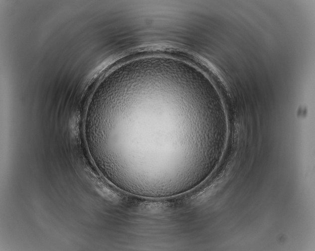 X0000090900778200707301412