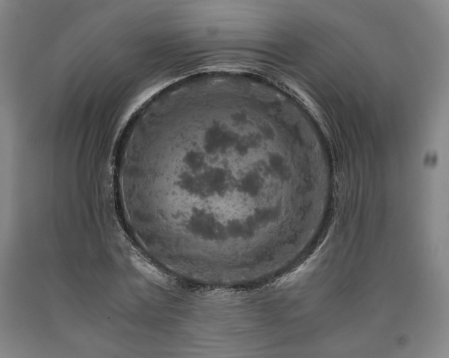 X0000090900779200707301412