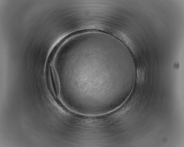 X0000090900780200707301412