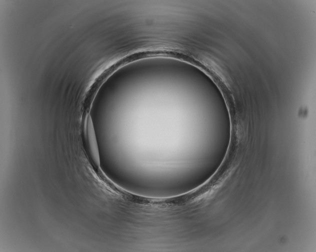 X0000090900781200707301412