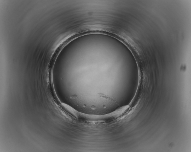 X0000090900782200707301412