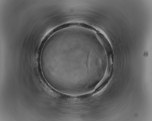 X0000090900783200707301412