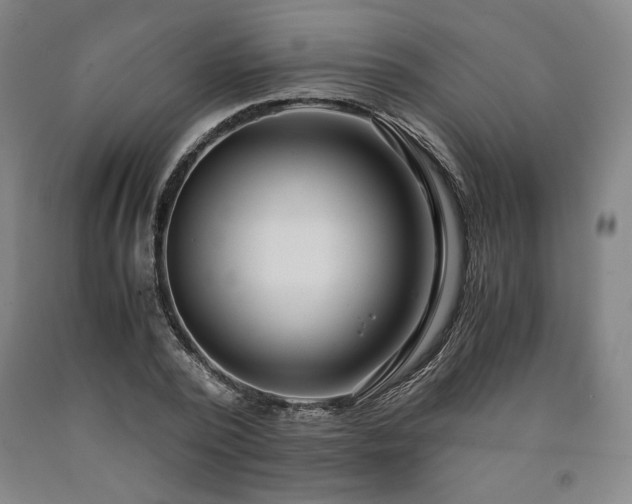 X0000090900784200707301412