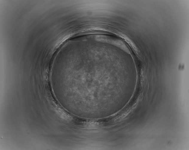 X0000090900785200707301412