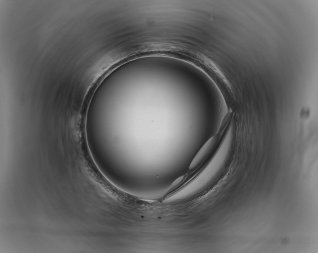 X0000090900786200707301412