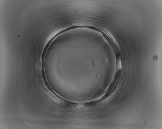 X0000090900787200707301412