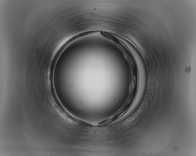 X0000090900788200707301412