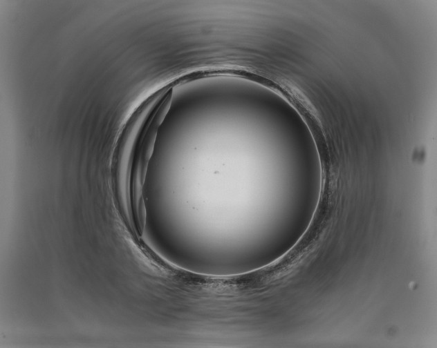 X0000090900789200707301412