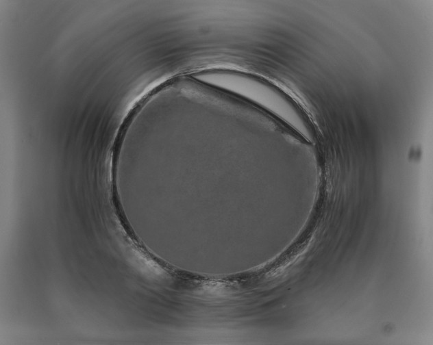 X0000090900790200707301412