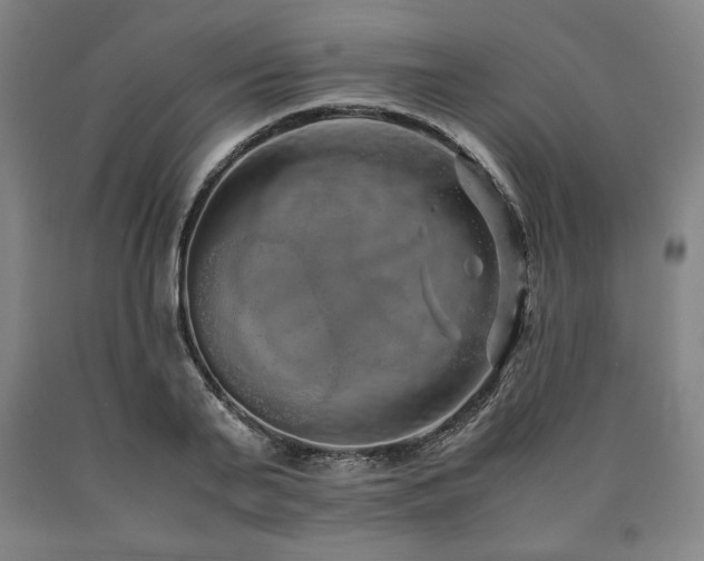 X0000090900791200707301412