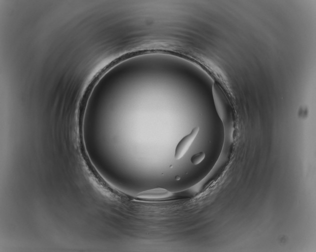 X0000090900792200707301412