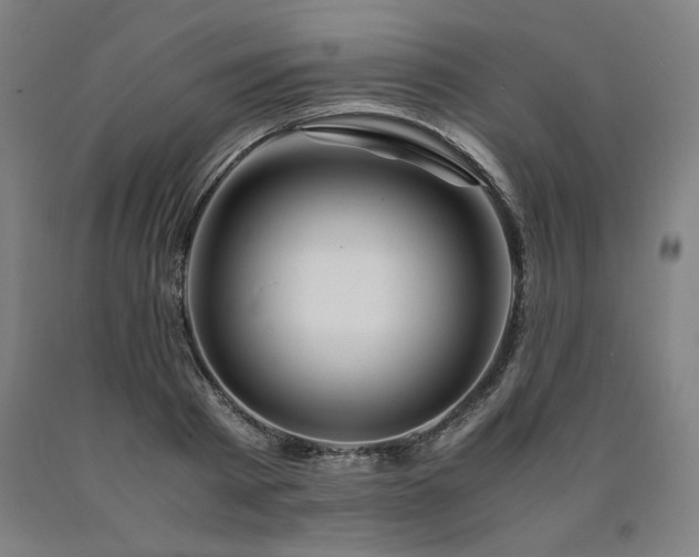 X0000090900793200707301412