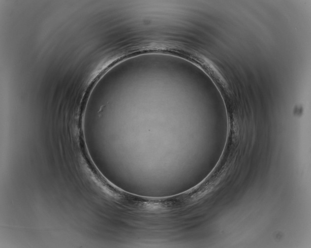 X0000090900794200707301412
