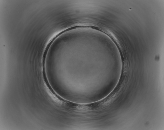 X0000090900795200707301412