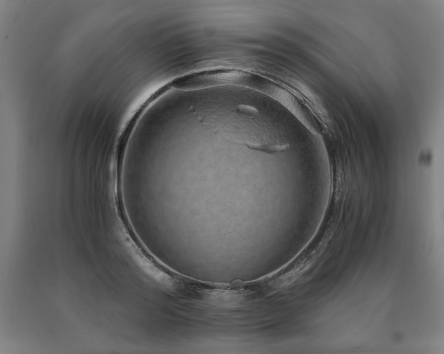 X0000090900796200707301412