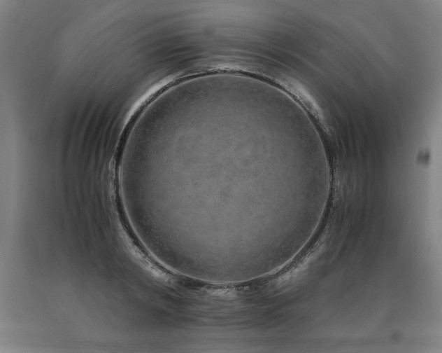 X0000090900798200707301412