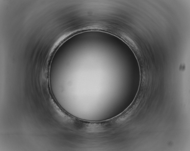 X0000090900800200707301411