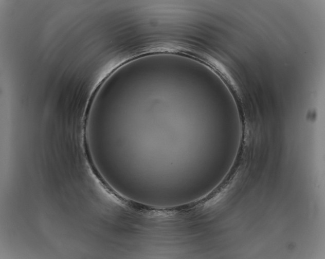 X0000090900802200707301411