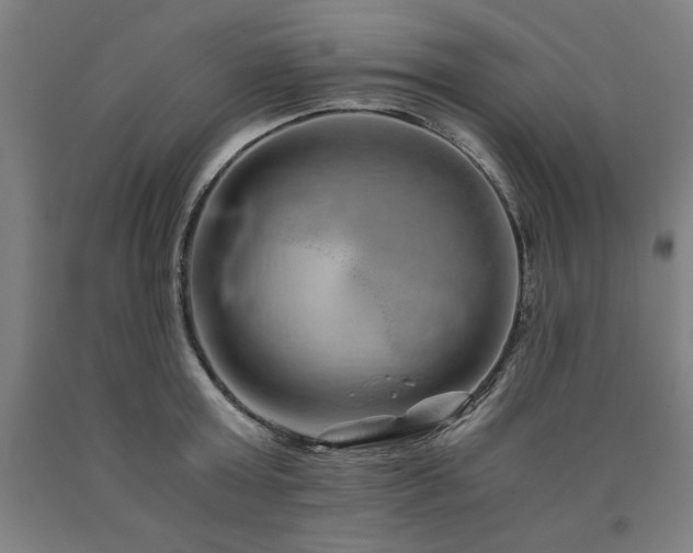 X0000090900803200707301411
