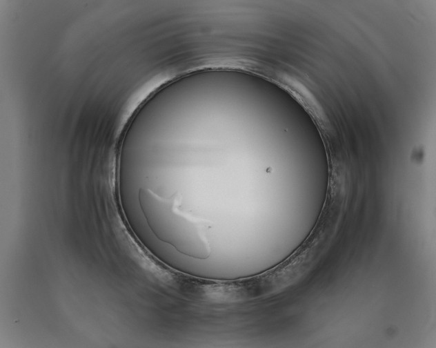 X0000090900804200707301411