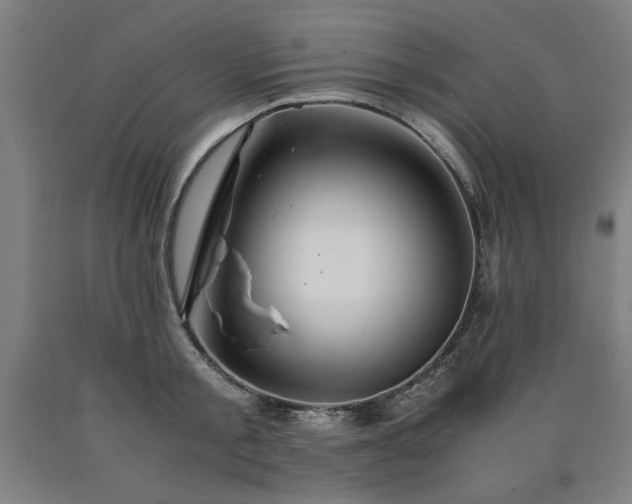 X0000090900805200707301411