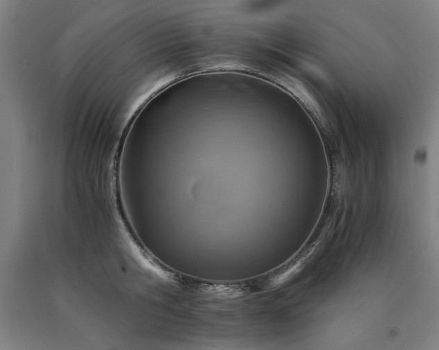 X0000090900806200707301411