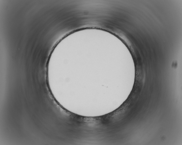 X0000090900807200707301411