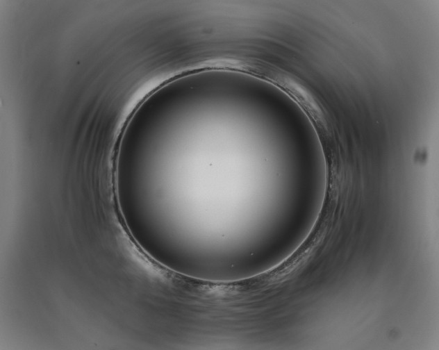 X0000090900808200707301411
