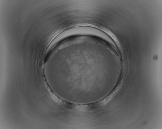 X0000090900809200707301411
