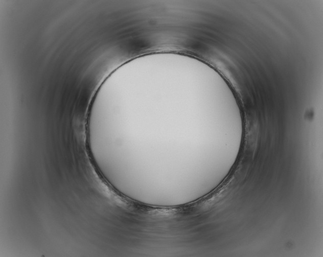 X0000090900810200707301411
