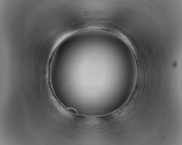 X0000090900811200707301411