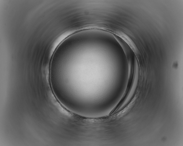 X0000090900812200707301411