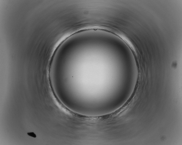 X0000090900813200707301411