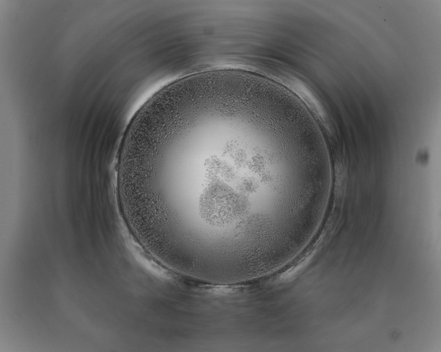 X0000090900814200707301411