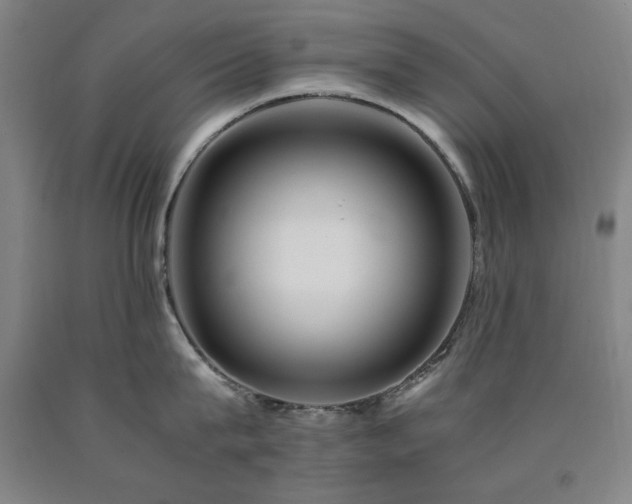 X0000090900815200707301411