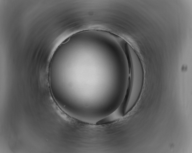 X0000090900816200707301411