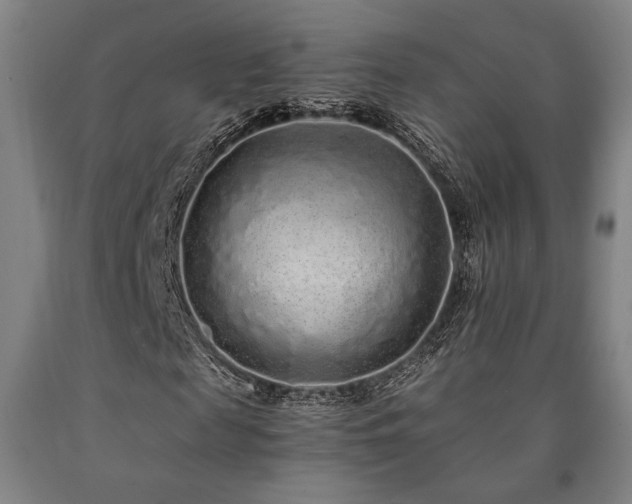 X0000090900817200707301411