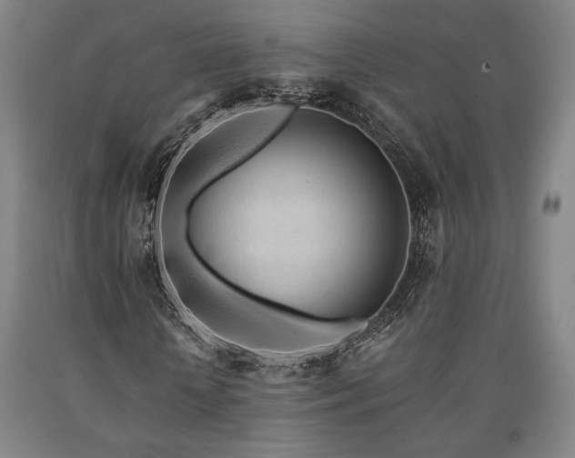 X0000090900818200707301411