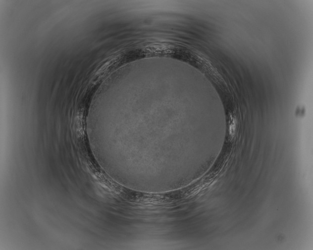 X0000090900819200707301411